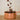 cosses de fèves de cacao torréfiées Néogourmets