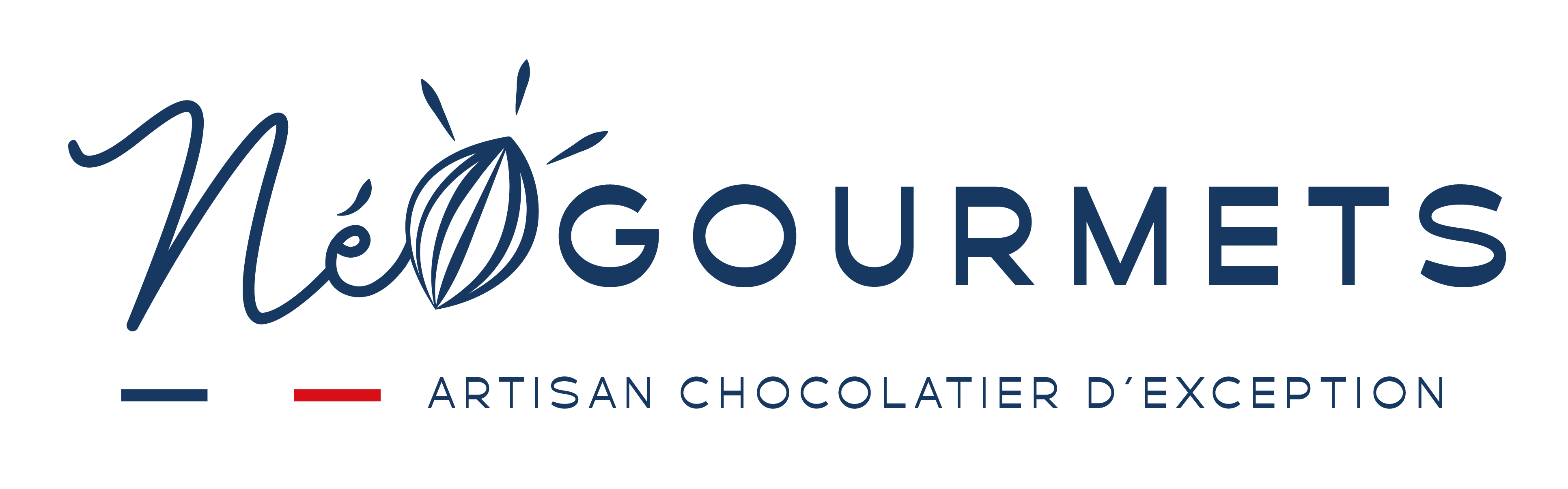 Logo de Néogourmets, artisan chocolatier d'exception