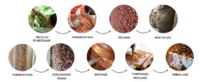 Les différentes étapes pour la fabrication d'un chocolat bean to bar, de la fève à la tablette par Néogourmets